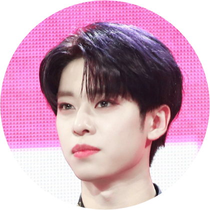 김동현 image