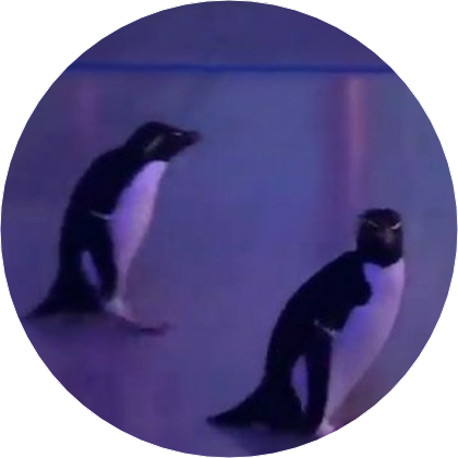 펭귄 image