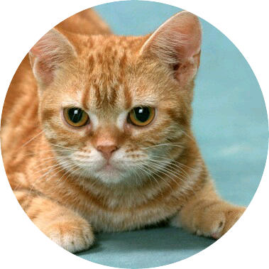 지민 image