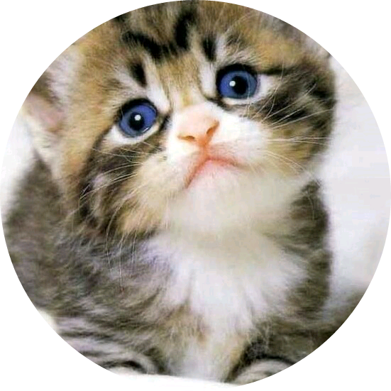 정국 image