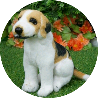 윤기(슈가) image