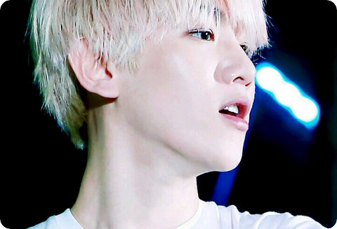 반인반수인너그리고평범한나 thumbnail