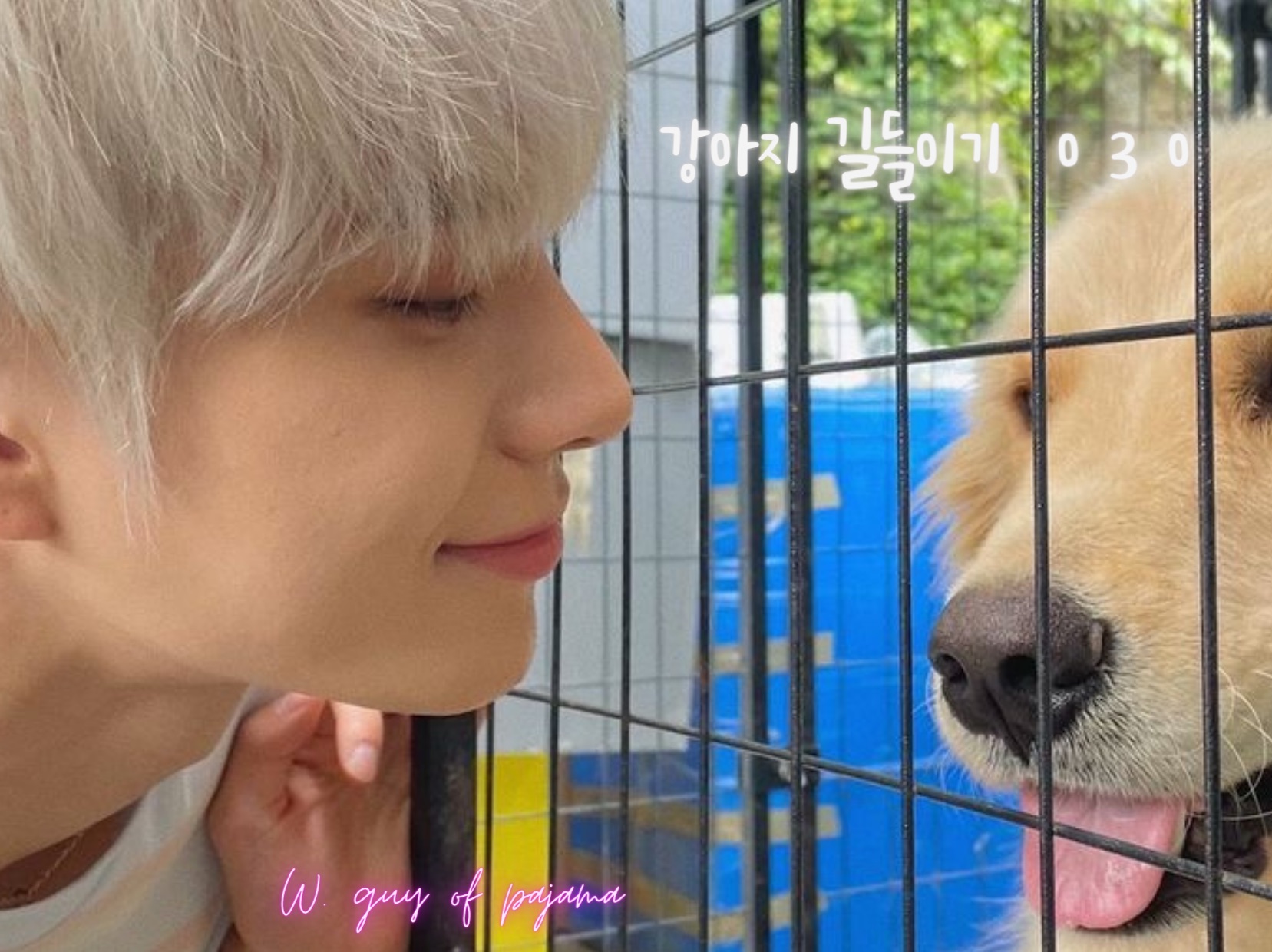 Cómo domesticar a un cachorro ㅇ3ㅇ thumbnail