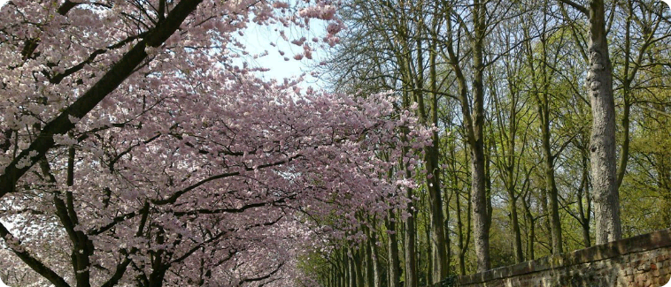 拍攝第一天快樂！ thumbnail