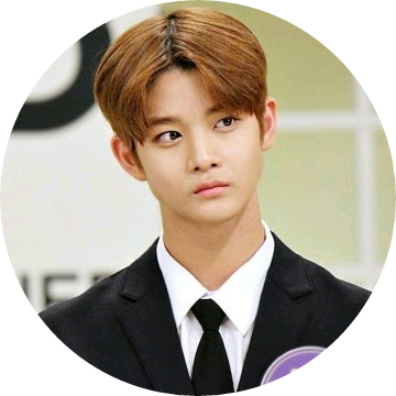 배진영 image