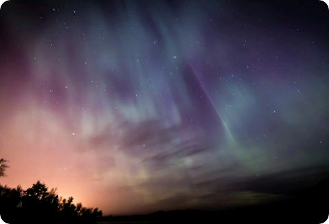 [Cerita Pendek] Kupu-kupu thumbnail