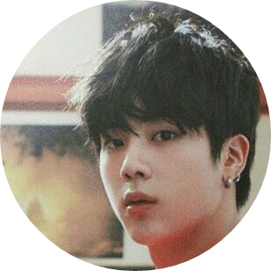 김석진 (서쪽공작) image