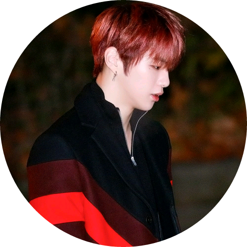 강다니엘 image