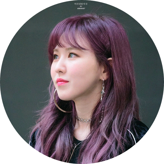 손승완(시녀) image