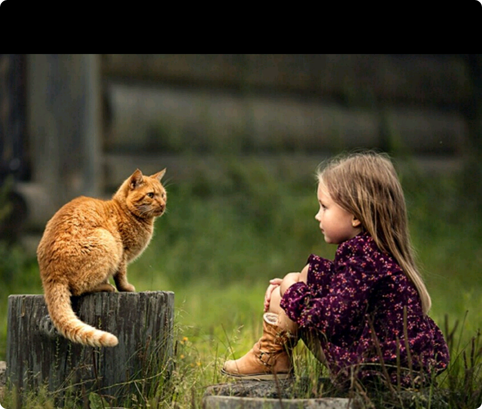 너는나의 도깨비신부♡? thumbnail