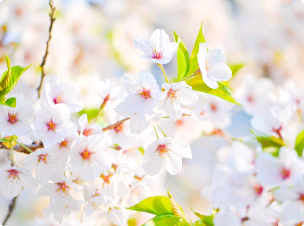 そうではありません。 thumbnail