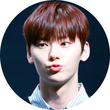 황민현 image