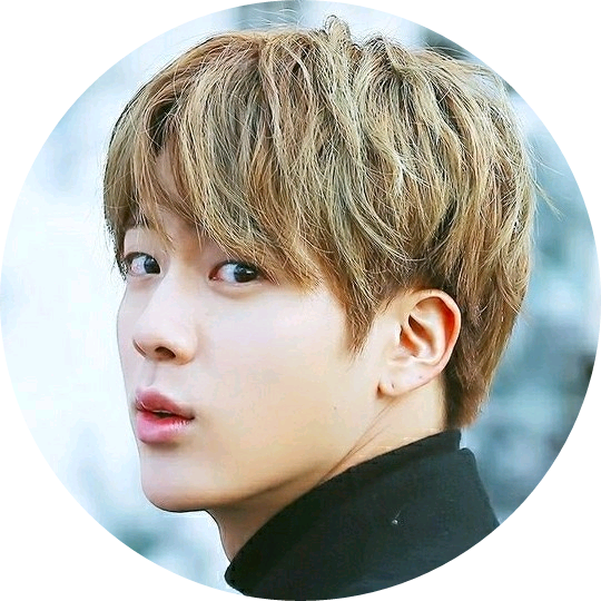 김석진 (교수) image