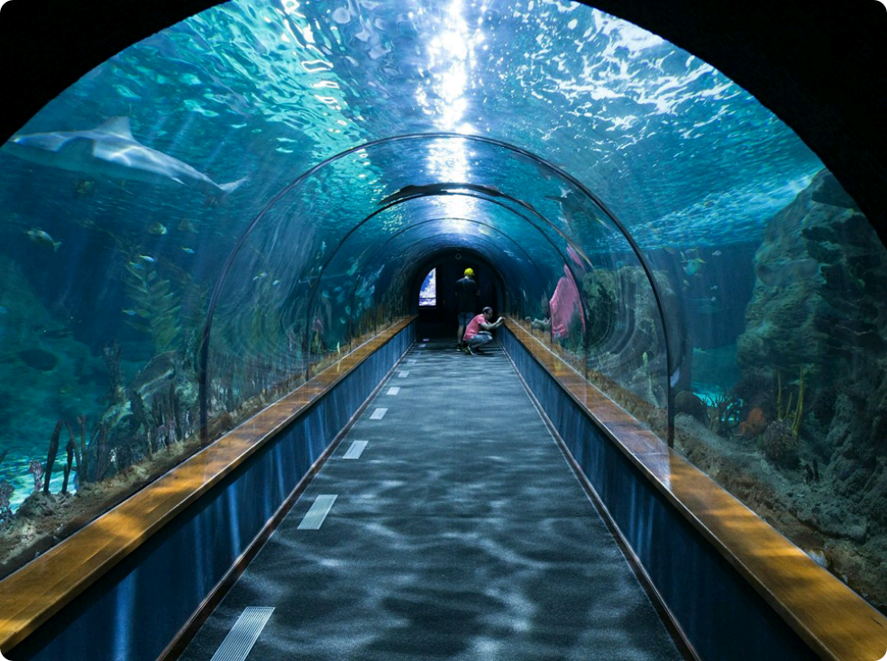 [Reverse Harem] Cat Girl and Her Seven Butlers thumbnail