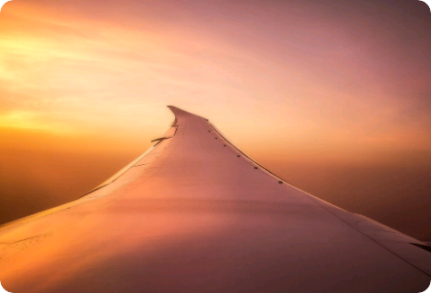 [Jungkook] The relationship between Baekho and the rabbit thumbnail