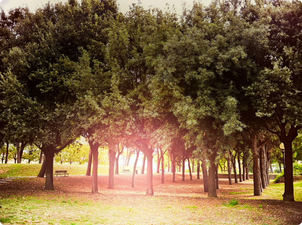 매직 민속촌 thumbnail