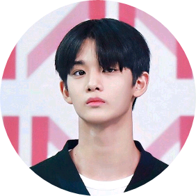 배진영 image
