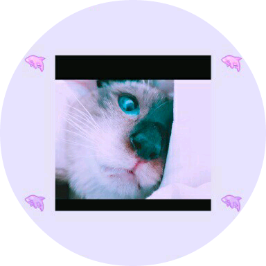 작과 image