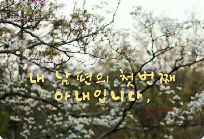 È la prima moglie di mio marito. thumbnail