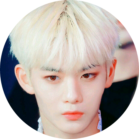 배진영 image