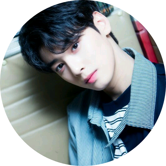 차은우 image