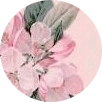 작가 image