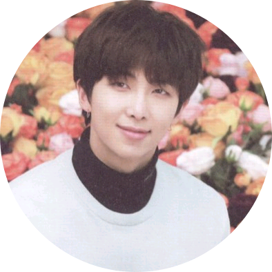 김 남준 image