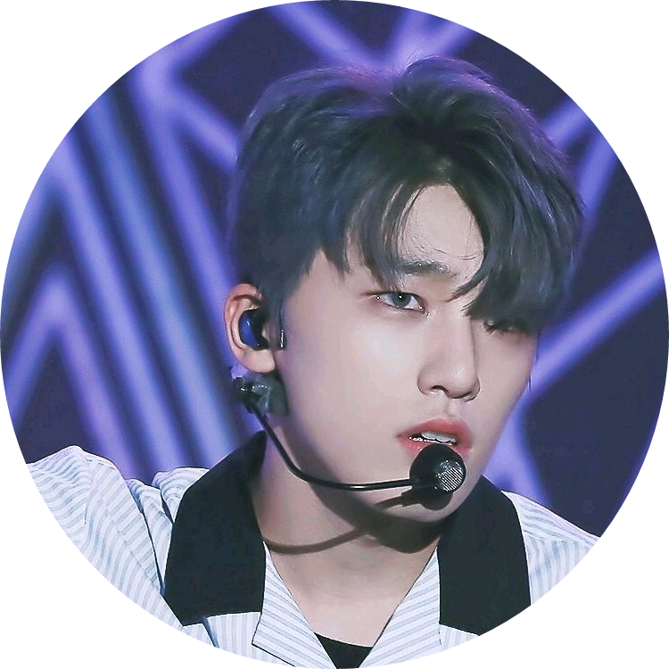 디노 image