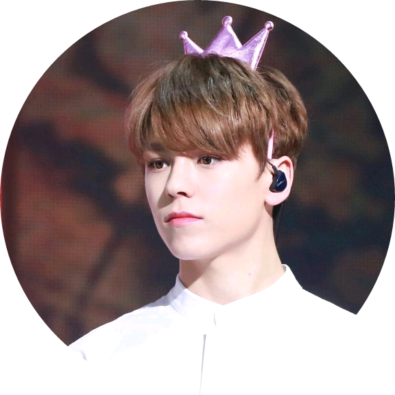 버논 image