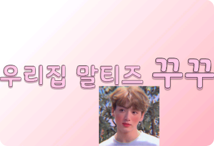 Chú chó Malta của chúng tôi, Kuku thumbnail