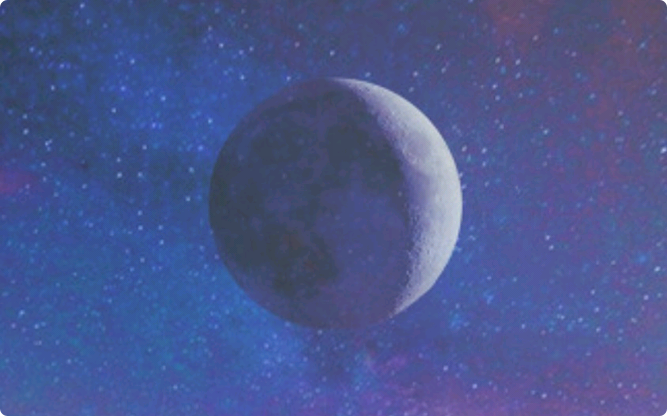 하쿠나 마타타 thumbnail