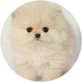 은하(정은비) image