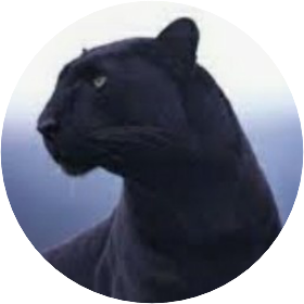 슈가(민윤기) image