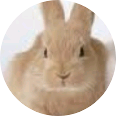 권은비(토끼) image