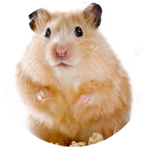 조유리(햄스터) image