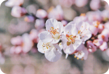 남사친 박지민 thumbnail