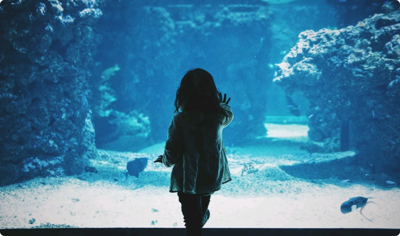 ㄴㅅㄷㅇㆍ thumbnail