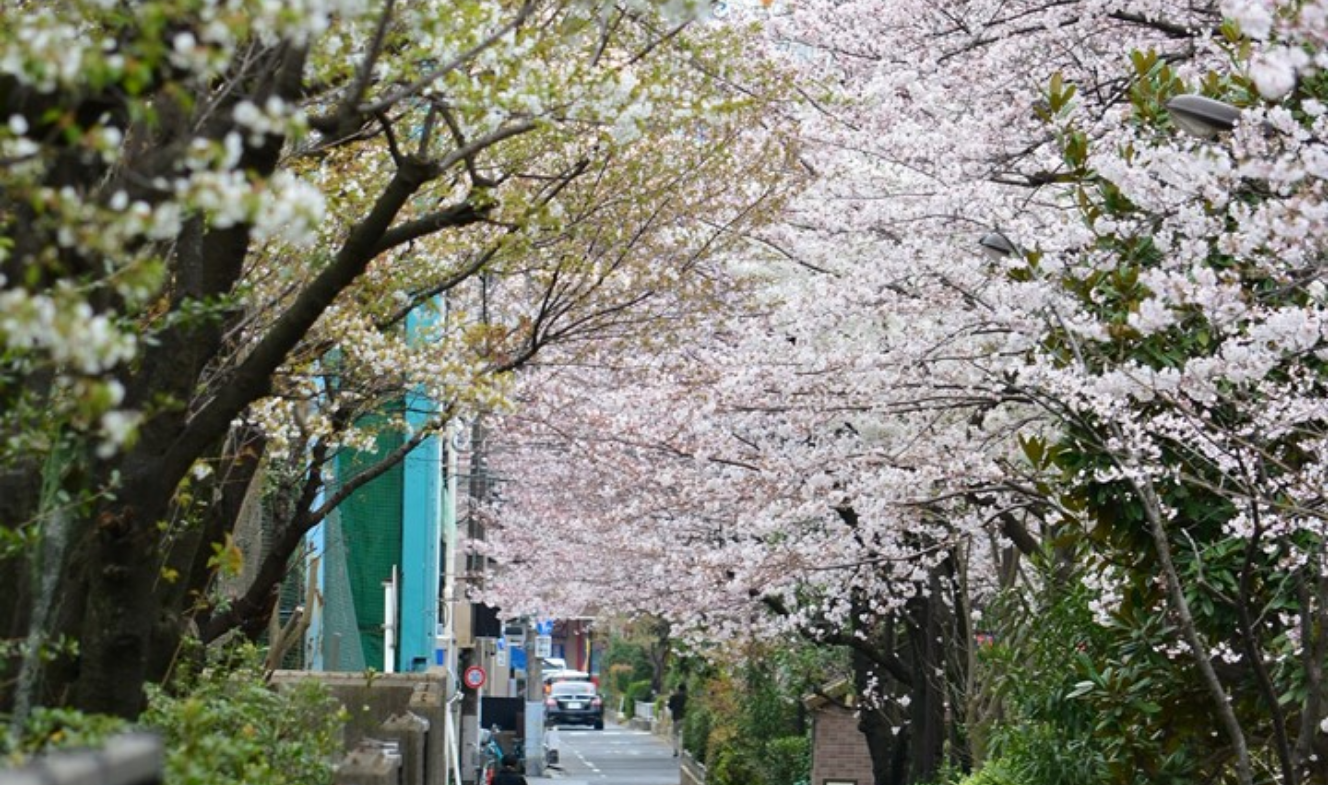 진짜요? thumbnail