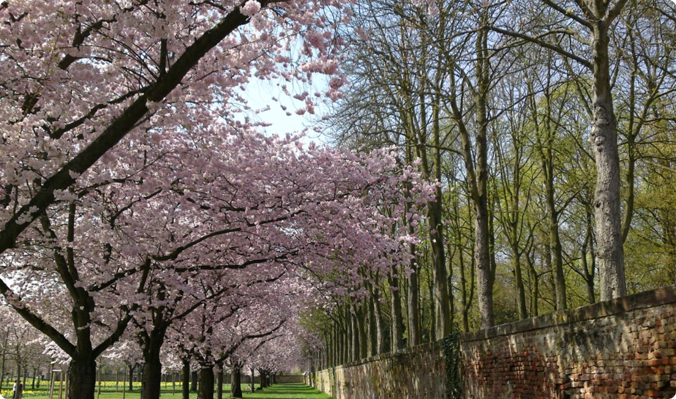 나는 행복 thumbnail