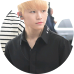 세븐틴에사랑캐럿입니다 profile image