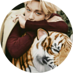 EXO를사랑하는호랑이 profile image