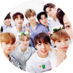 워너원보라해 profile image