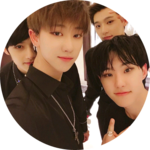 흔한세븐틴덕후캐럿입니다 profile image