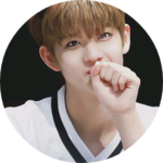 진영러브 profile image