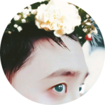 됴됴한됴됴 profile image