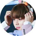워너블윙깅잉 profile image