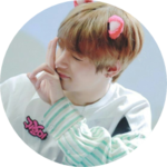 NPS늘푸른생선 profile image