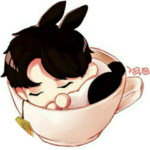 토기정국 profile image