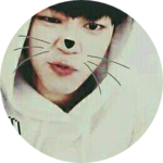 박지민1013 profile image