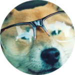 강아지수염 profile image